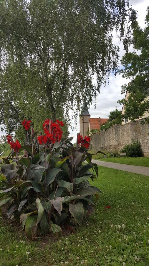 Direkt Am Main Villa Karlstadt Eksteriør billede